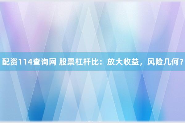 配资114查询网 股票杠杆比：放大收益，风险几何？