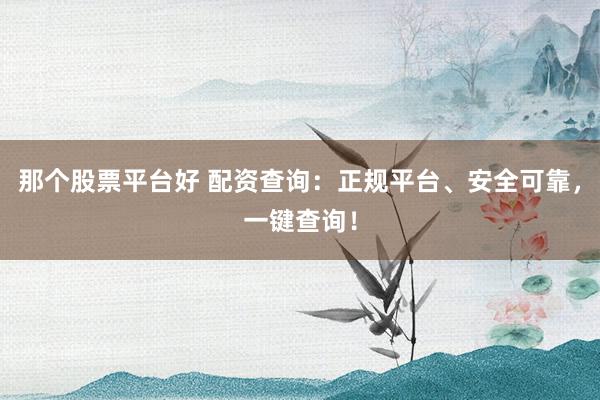 那个股票平台好 配资查询：正规平台、安全可靠，一键查询！