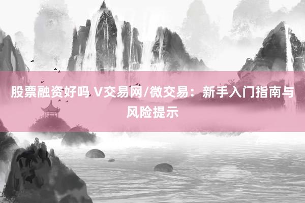 股票融资好吗 V交易网/微交易：新手入门指南与风险提示