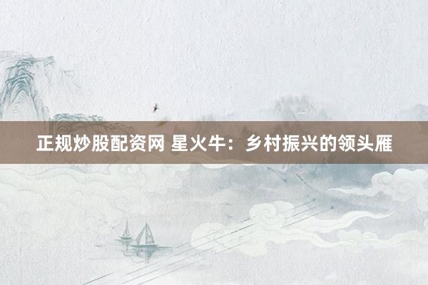 正规炒股配资网 星火牛：乡村振兴的领头雁