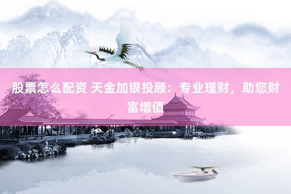 股票怎么配资 天金加银投顾：专业理财，助您财富增值