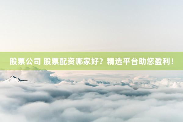 股票公司 股票配资哪家好？精选平台助您盈利！