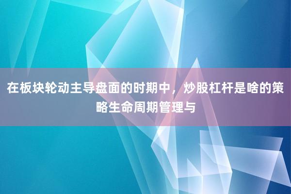 在板块轮动主导盘面的时期中,炒股杠杆是啥的策略生命周期管理与