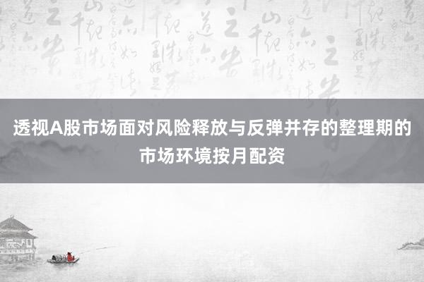 透视A股市场面对风险释放与反弹并存的整理期的市场环境按月配资