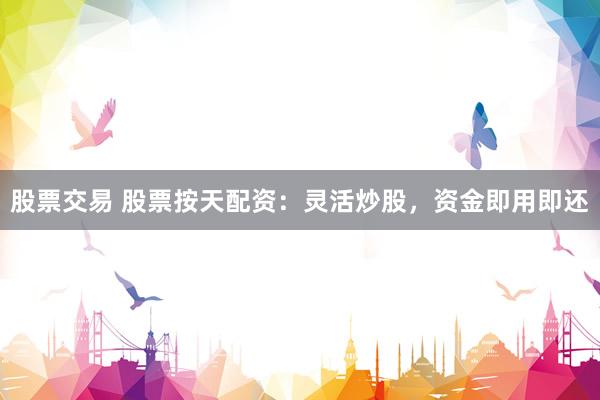 股票交易 股票按天配资：灵活炒股，资金即用即还