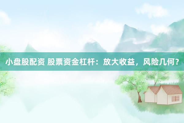 小盘股配资 股票资金杠杆：放大收益，风险几何？