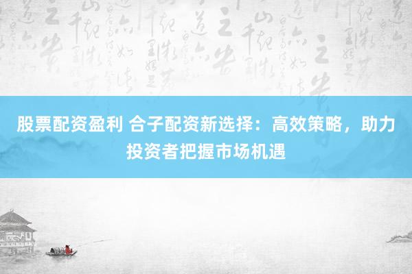 股票配资盈利 合子配资新选择：高效策略，助力投资者把握市场机遇