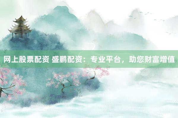 网上股票配资 盛鹏配资：专业平台，助您财富增值
