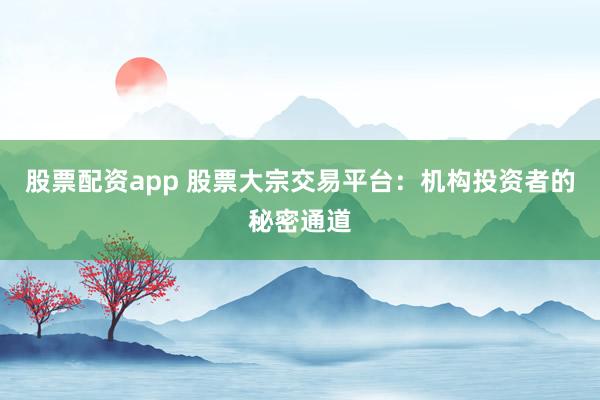 股票配资app 股票大宗交易平台:机构投资者的秘密通道