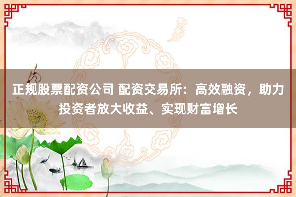 正规股票配资公司 配资交易所：高效融资，助力投资者放大收益、实现财富增长